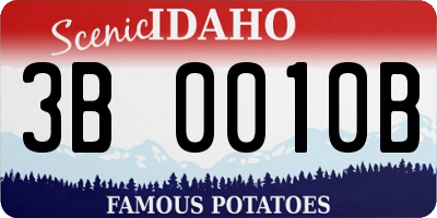 ID license plate 3B0010B
