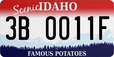 ID license plate 3B0011F