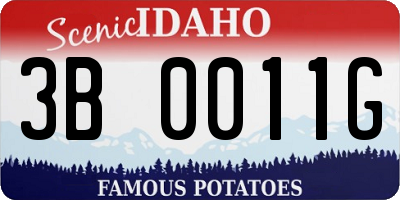 ID license plate 3B0011G