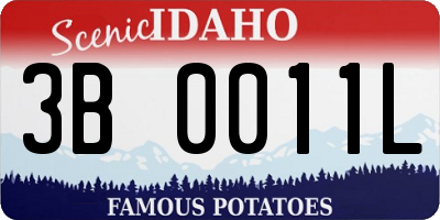 ID license plate 3B0011L