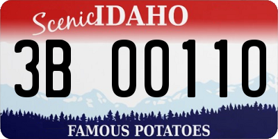 ID license plate 3B0011O