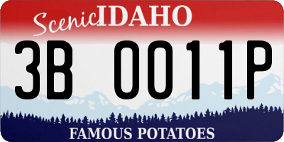ID license plate 3B0011P