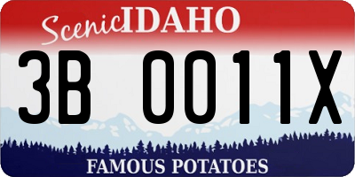 ID license plate 3B0011X