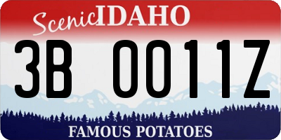 ID license plate 3B0011Z