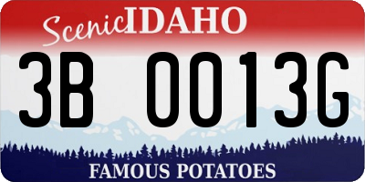 ID license plate 3B0013G
