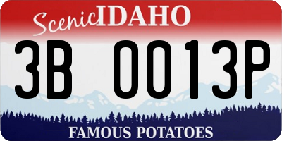 ID license plate 3B0013P