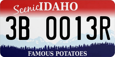ID license plate 3B0013R