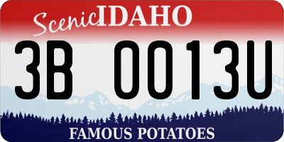 ID license plate 3B0013U