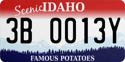 ID license plate 3B0013Y