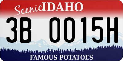 ID license plate 3B0015H