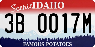 ID license plate 3B0017M