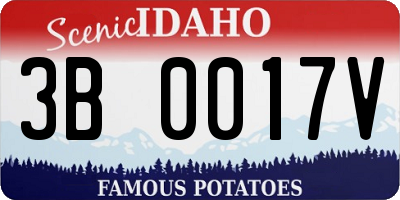 ID license plate 3B0017V