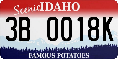 ID license plate 3B0018K