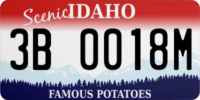 ID license plate 3B0018M