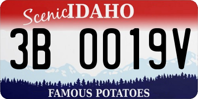 ID license plate 3B0019V