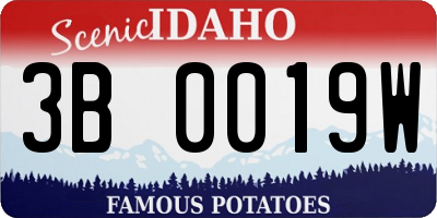 ID license plate 3B0019W