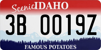 ID license plate 3B0019Z
