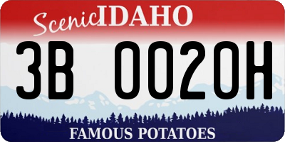 ID license plate 3B0020H