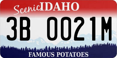 ID license plate 3B0021M