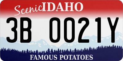 ID license plate 3B0021Y