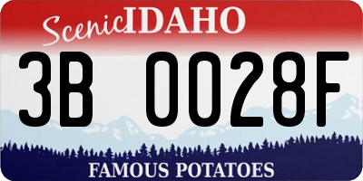ID license plate 3B0028F