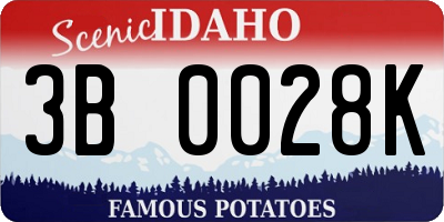 ID license plate 3B0028K