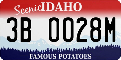 ID license plate 3B0028M