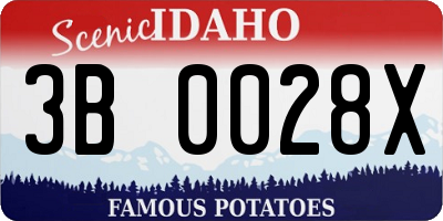 ID license plate 3B0028X
