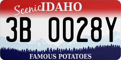 ID license plate 3B0028Y
