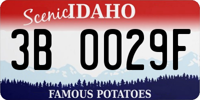 ID license plate 3B0029F