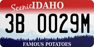 ID license plate 3B0029M