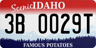 ID license plate 3B0029T