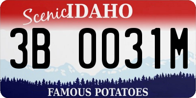 ID license plate 3B0031M