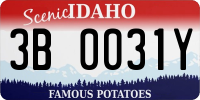 ID license plate 3B0031Y