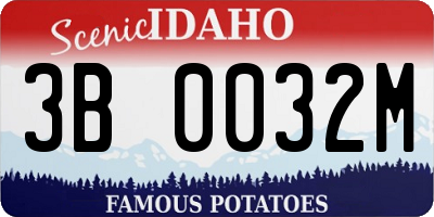 ID license plate 3B0032M