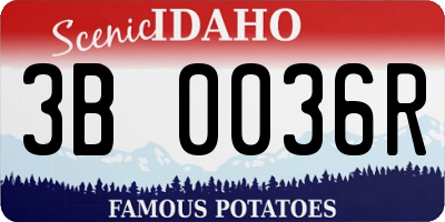 ID license plate 3B0036R
