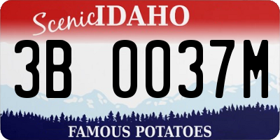 ID license plate 3B0037M