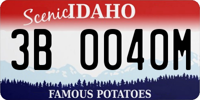 ID license plate 3B0040M