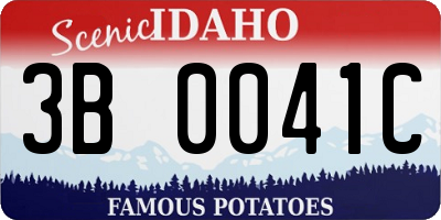 ID license plate 3B0041C