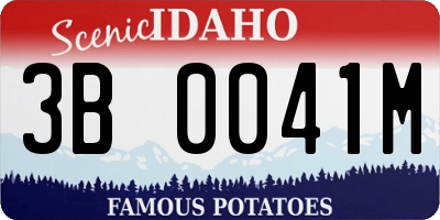 ID license plate 3B0041M