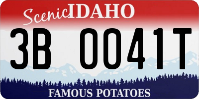 ID license plate 3B0041T