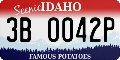 ID license plate 3B0042P