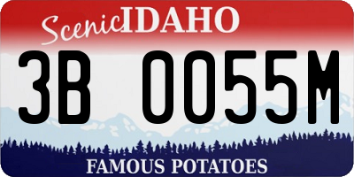 ID license plate 3B0055M