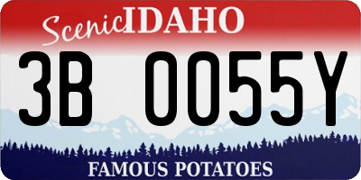 ID license plate 3B0055Y