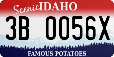 ID license plate 3B0056X