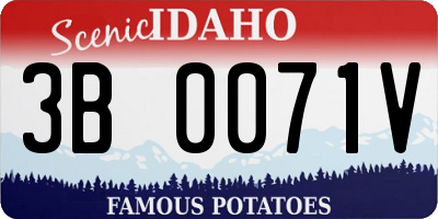 ID license plate 3B0071V