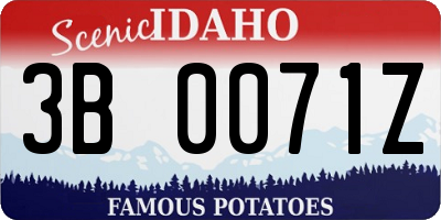 ID license plate 3B0071Z