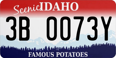 ID license plate 3B0073Y