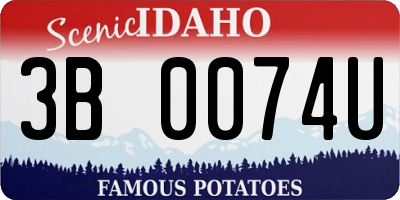 ID license plate 3B0074U