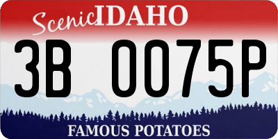 ID license plate 3B0075P
